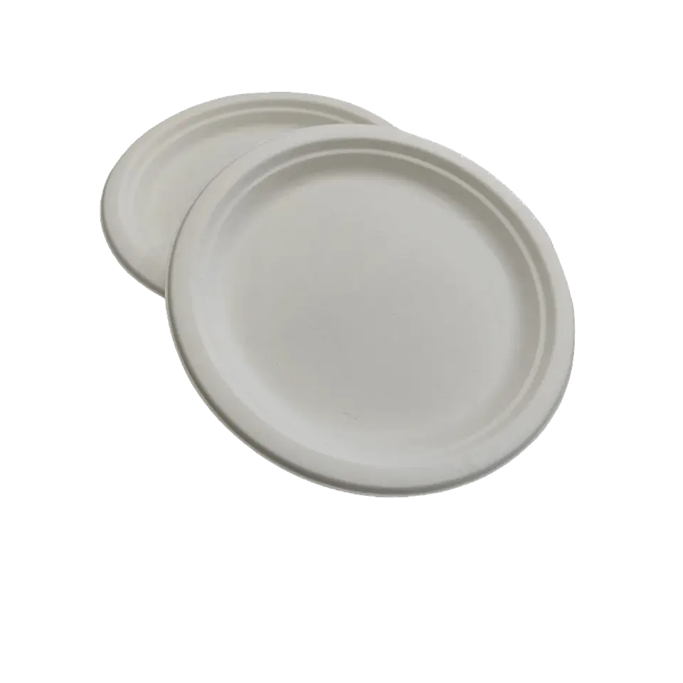 Plato 22,5 cm compostable (10x50)