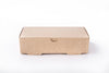 Caja Delivery 1200 ml (100 Unidades)